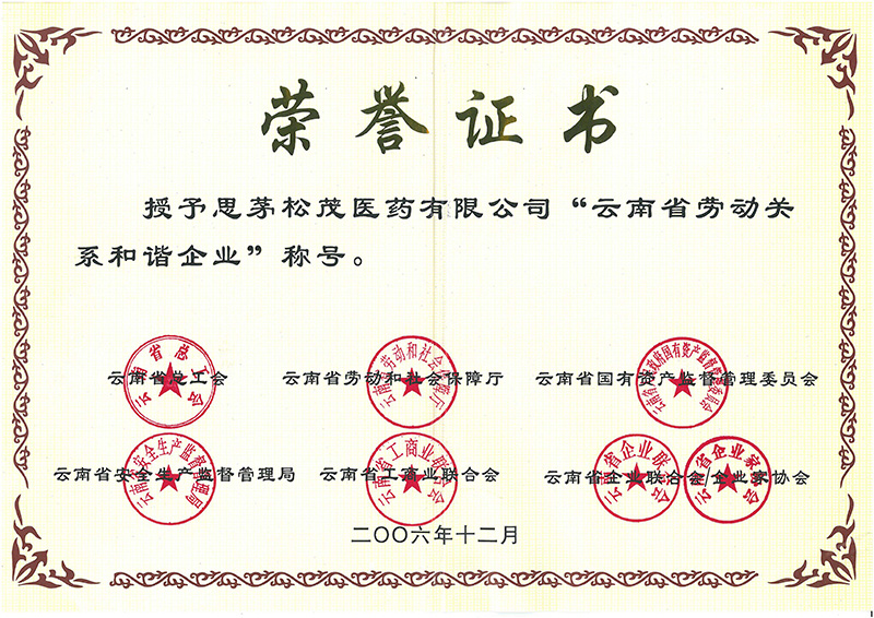 2006—云南省勞動關系和諧企業