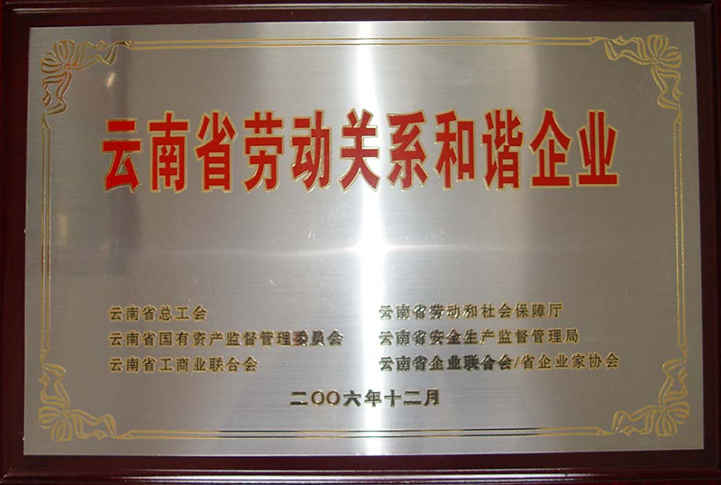 2006年—云南省勞動關系和諧企業
